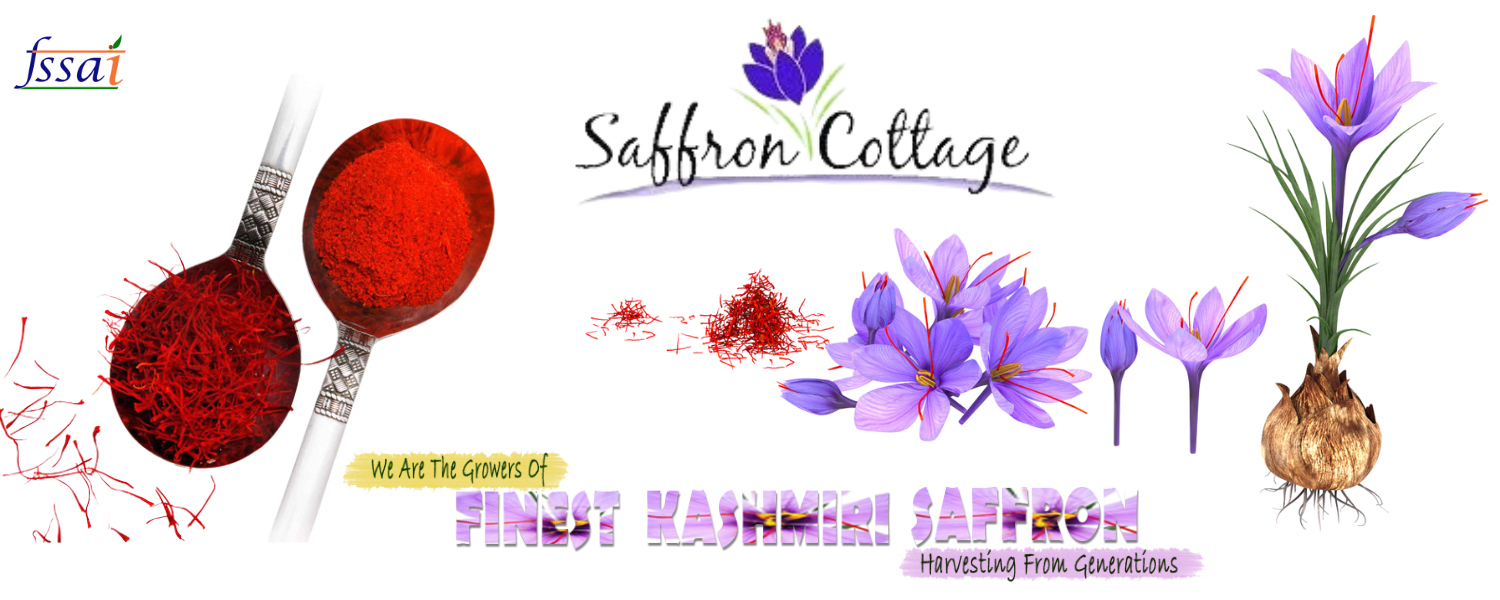 We are the Growers of Finest Kashmiri Saffron Harvesting from Generations