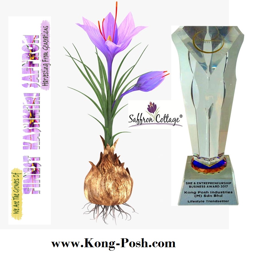 Discover the Finest Saffron Brands in Malaysia: Saffron Cottage, Authentic Kashmiri Saffron Growers