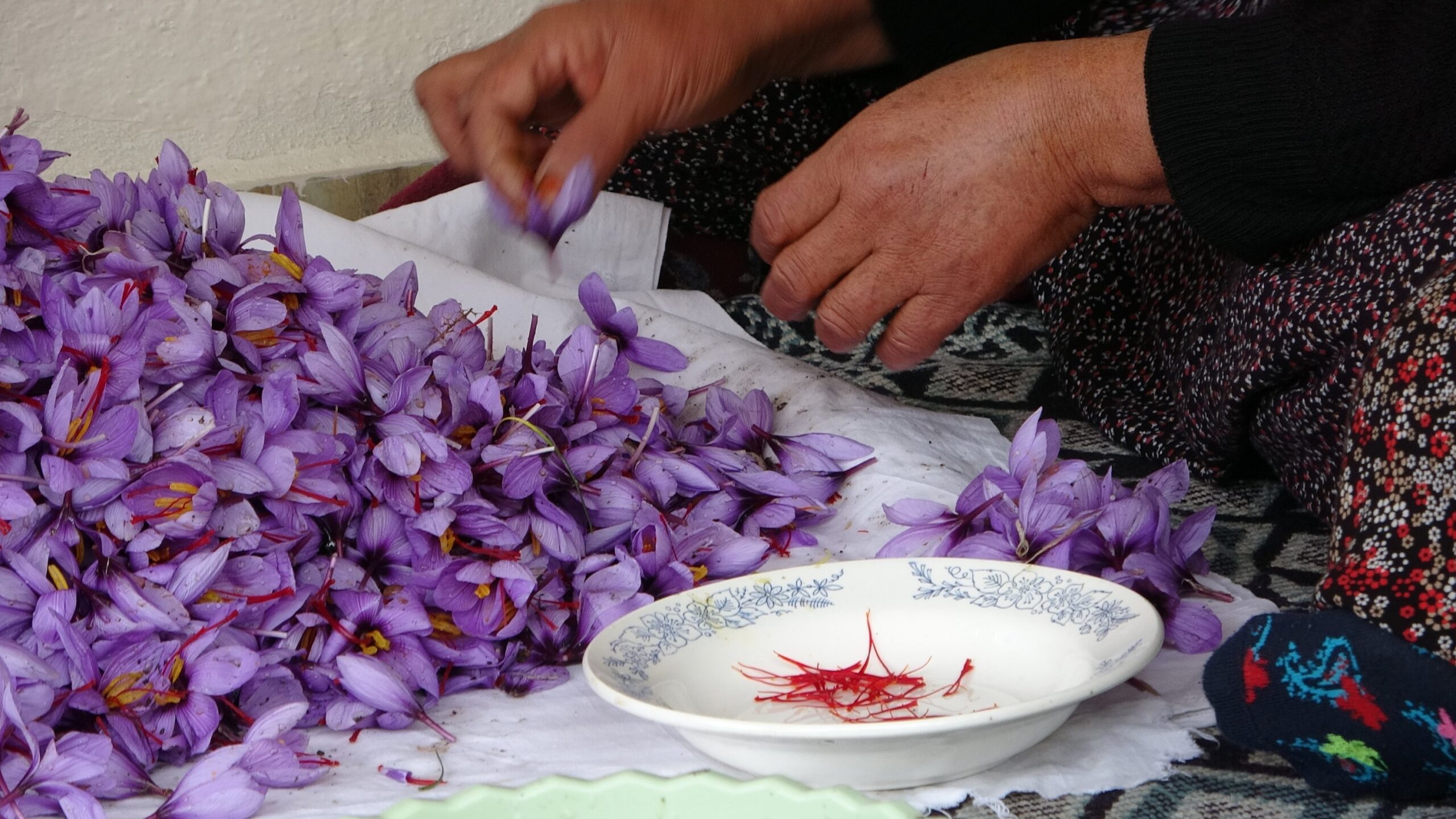 Khasiat Saffron untuk Kesihatan