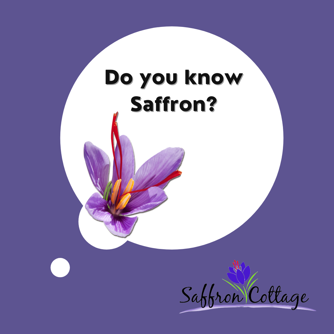 Exploring the Remarkable Health Advantages of Saffron