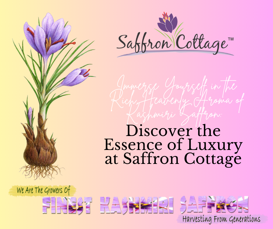 Immerse Yourself in the Rich, Heavenly Aroma of Kashmiri Saffron: Discover the Essence of Luxury at Saffron Cottage