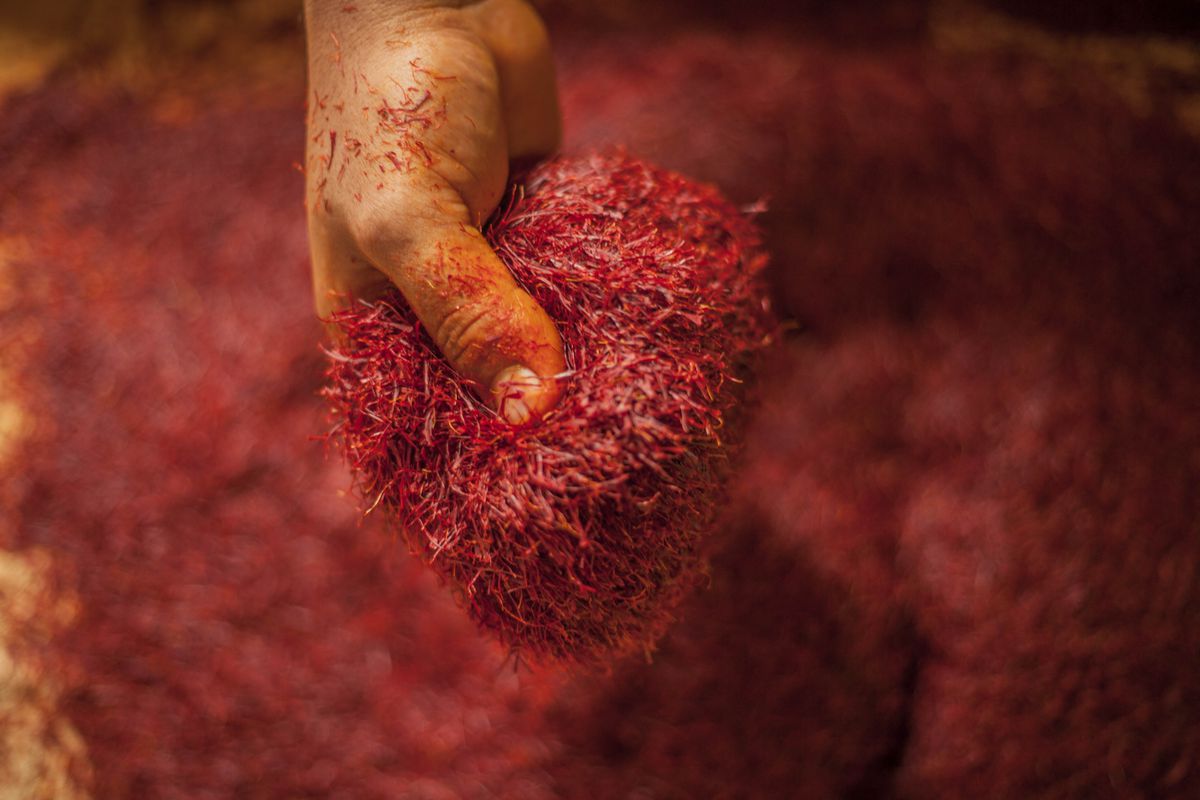 Kashmiri Saffron The Pinnacle of Spices