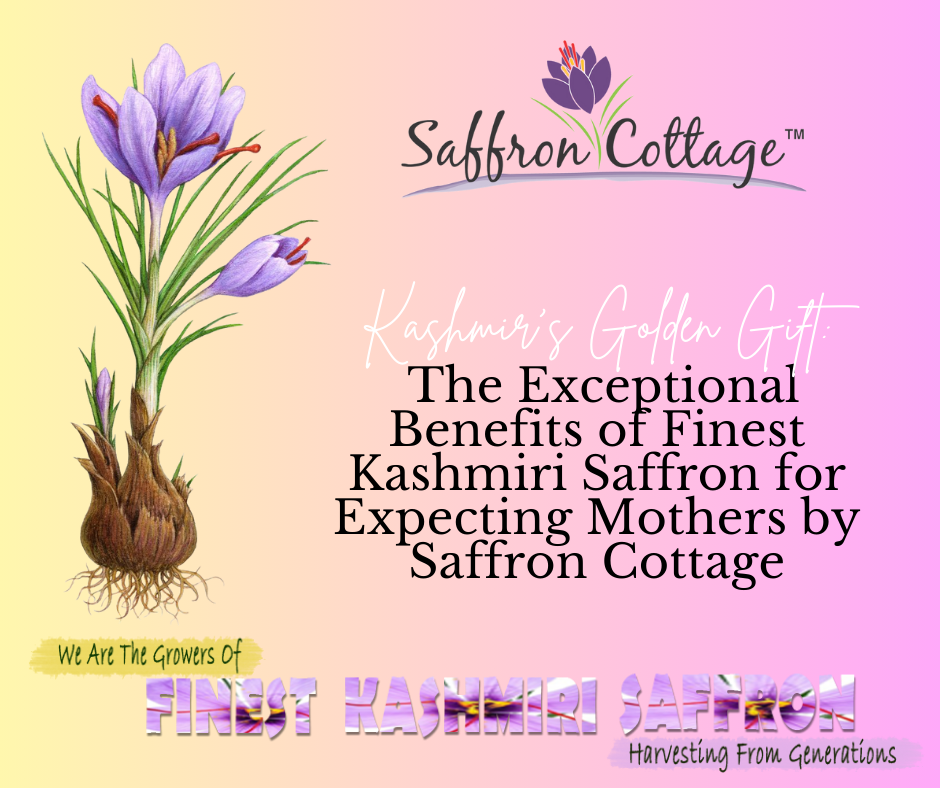 Kashmir’s Golden Gift: The Exceptional Benefits of Finest Kashmiri Saffron for Expecting Mothers by Saffron Cottage