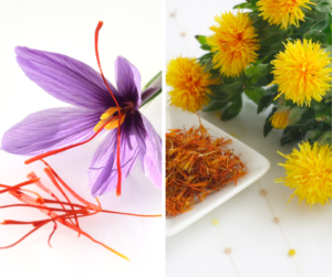 #Saffron vs. #Safflower: Unraveling the Culinary Confusion - kong-posh