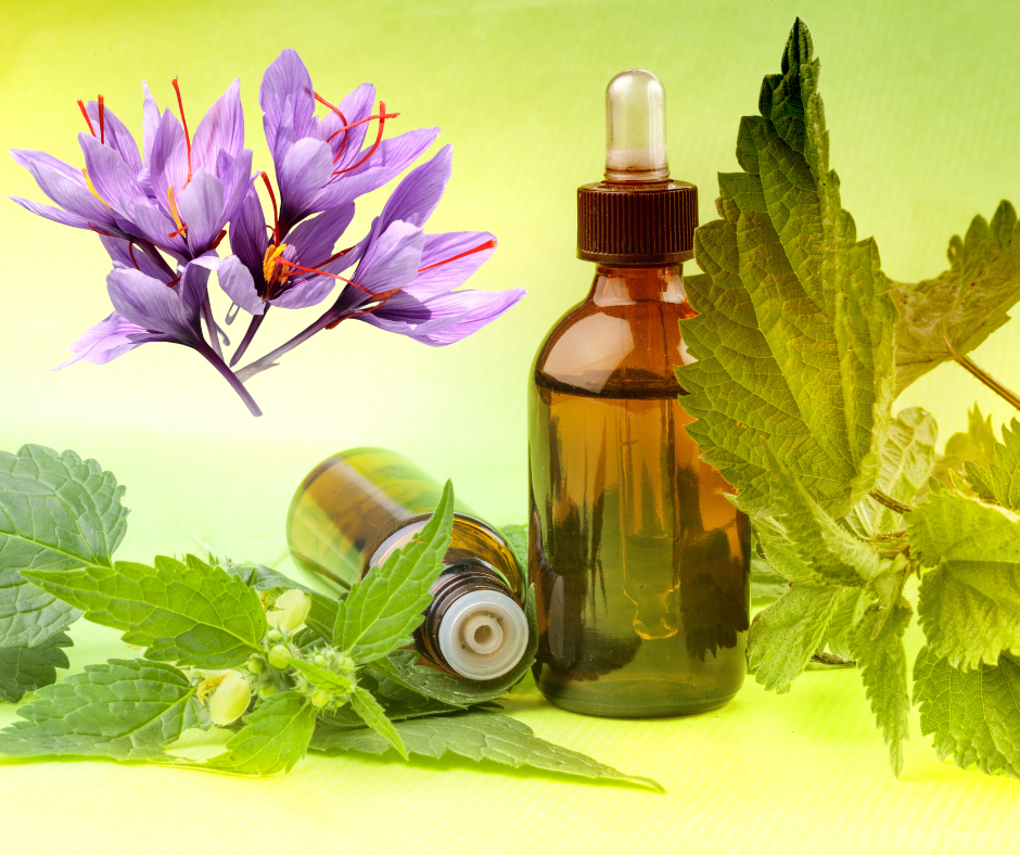 Saffron in Unani Medicine: An In-Depth Exploration