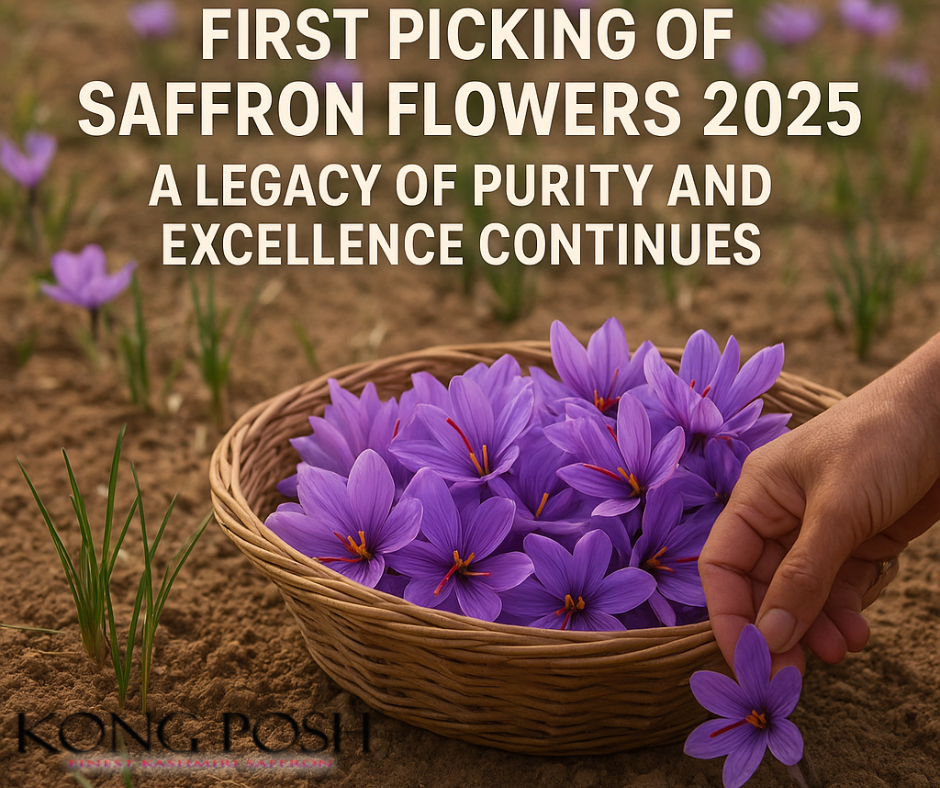 First Picking of Saffron Flowers 2025: A Legacy of Purity and Excellence Continues