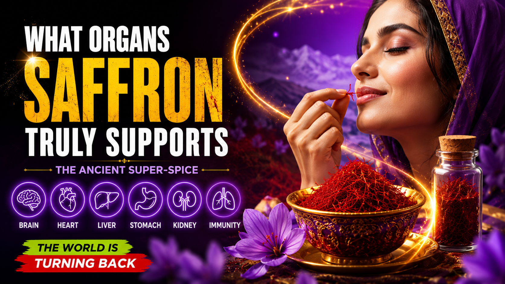 The Golden Thread of Health What Organs Saffron Truly Supports and Why the World Is Turning Back to This Ancient Super-Spice